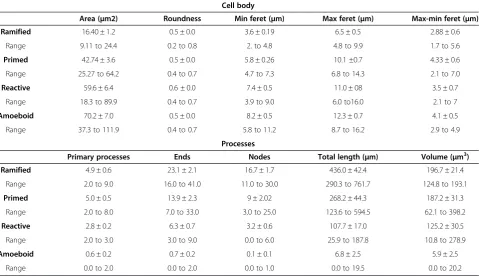 Table 2 Quantitative features of IBA1-IR phenotypes in human dACC white matter