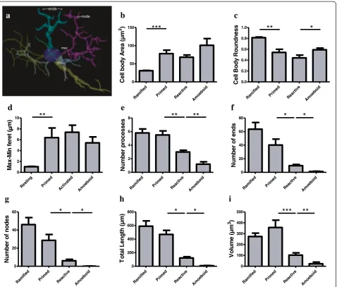 Figure 4 Microglial phenotypes in human dACC gray matter are characterized by significant changes in the cell body and processes.microglia appears statistically similar in area(b)(violet arrow, max) representing the maximum and minimum feret, respectively,