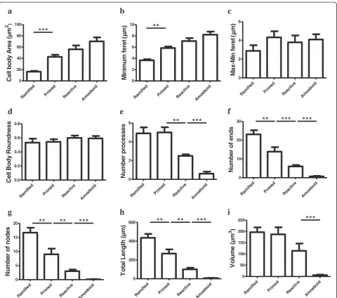 Figure 5 Microglial phenotypes display significant differences in cell body and ramification patterns.primed microglia both extend similar numbers of primary processes Compared to ramified, the primedphenotype displays a larger cell body area (a) as reflec