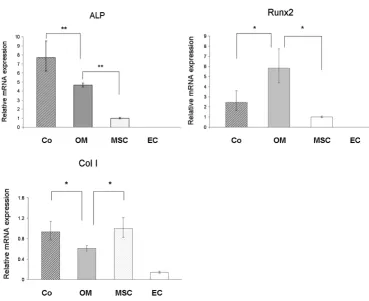Figure 6mRNA Expression after 5 days by real time PCRwas found in MSC/EC co-cultures compared with MSC alone