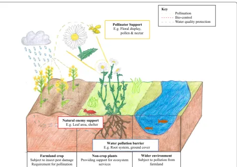 Fig. 1 A conceptual model of the potential for non-crop plants and their traits to provide support for ecosystem services within agricultural sys-tems