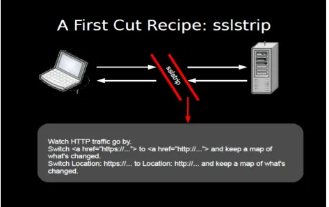 Fig. 2 Sslstrip Functioning.