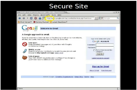 Fig 3 Result of the sslstrip attack.