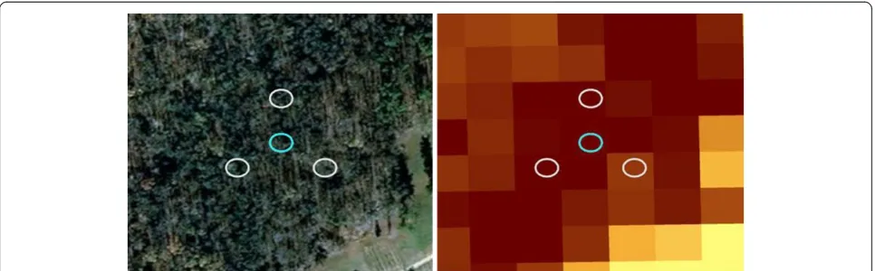 Figure 4 An example of the size of FIA subplots overlaid onto imagery and a biomass map of 30-m pixel resolution.