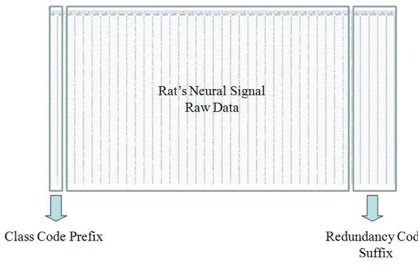 Figure 12Real Raw DataReal Raw Data.