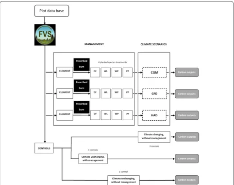 Figure 2 Schematic of management and climate scenarios projected for 100 years with Climate-FVS, including management and climatecontrols, based on 89 field plots, four tree species planted following management treatments, and three Global Circulation Models.