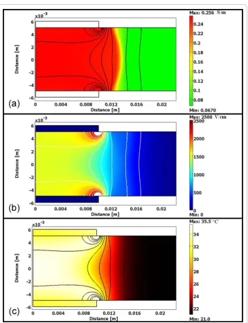 Figure 2 Numerical model of the liver tissue with conductivity map, electric field distribution, andthermal map