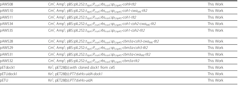 Table 1 Strains and plasmids used in this study (Continued)