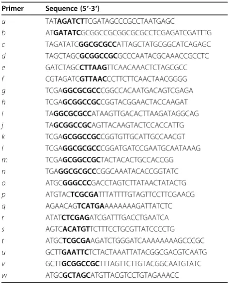Table 2 Primers used in this study