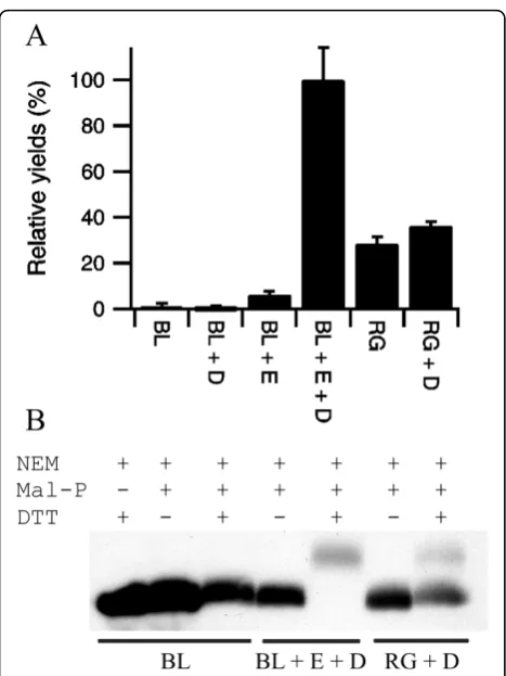 Table 2 Production of AppA in the cytoplasm of E. coli
