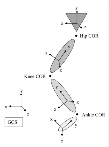 Figure 1 A sketch of the musculoskeletal model employed in this study