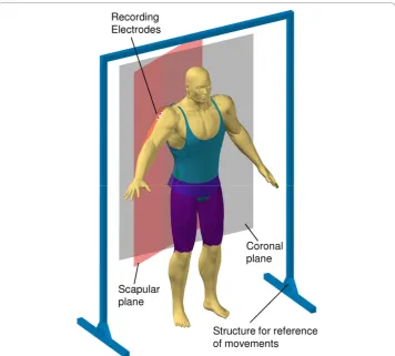 Figure 1 Movement protocols, and EMG recordings during static and dynamic contractions ofmiddle deltoid