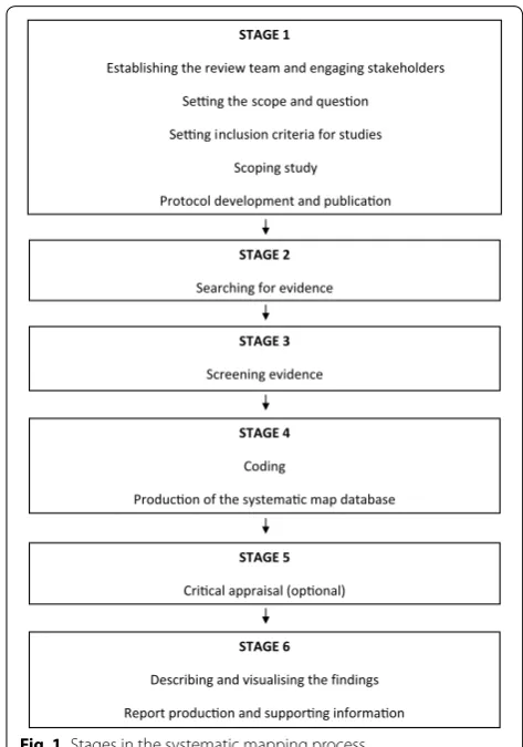 Fig. 1 Stages in the systematic mapping process