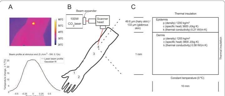 Figure 1 The figure illustrates the experimental setup and the parameters used for the finitebeam expander and scanner head
