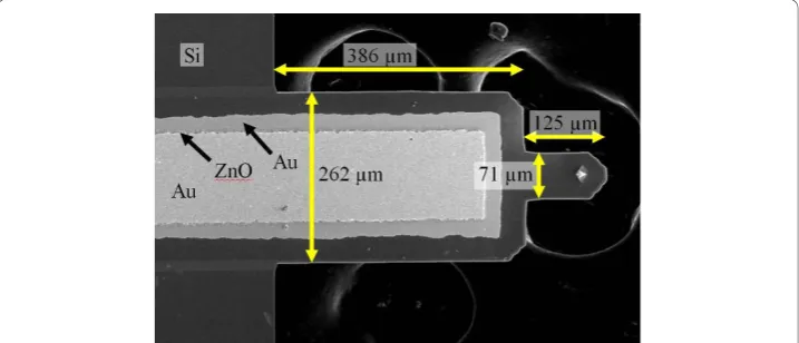 Figure 1 Veeco active probe. Cantilever consists of a Si substrate (thickness = 4 μm) supporting a ZnOstack (0.25 μm Ti/Au, 3.5 μm ZnO, and 0.25 μm Ti/Au)