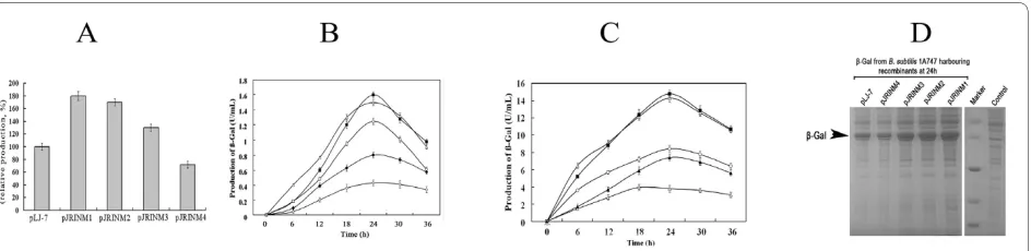 Figure 2 Characterization of the mutated promoters. The production of β-Gal from B. subtilis 1A747 harboring mutants supplemented with 5% maltose plus 5% glucose