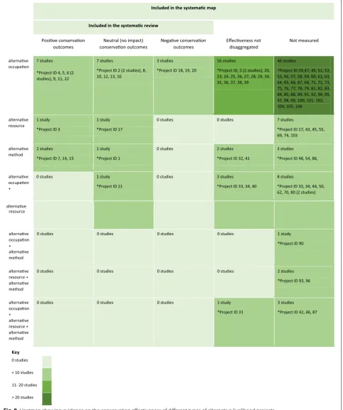 Fig. 8 Heatmap showing evidence on the conservation effectiveness of different types of alternative livelihood projects