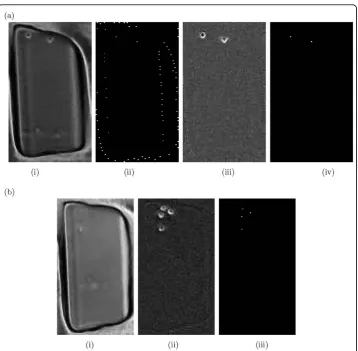 Figure 3 Background estimation and cell detectionSubtracting out the estimated background image obtained in (i) from the original image
