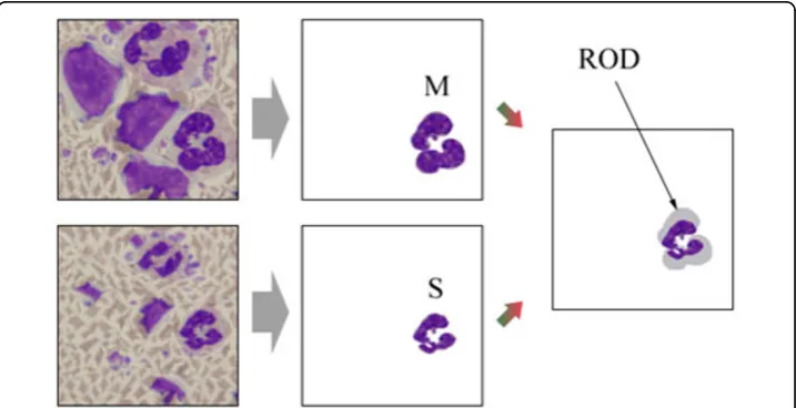 Figure 9 PSNR comparison of JPEG compression, seam carving, and proposed method.