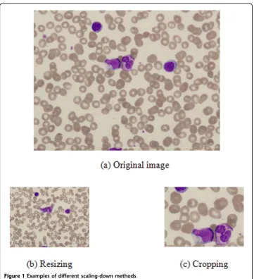 Figure 1 Examples of different scaling-down methods.
