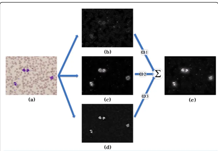 Figure 4 Flow diagram of saliency map: (a) source image, (b) orientation map, (c) color map, (d)saturation map, and (e) saliency map.