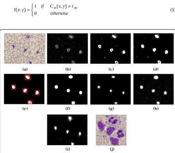 Figure 5 Saliency strength using EAWs and energy map: (a) original image (b) saliency map, (c)optimal thresholding, (d) morphological opening, (e) removal of small regions, (f) EAWs, (g) strength ofEAWs, (h) Saliency Strength Map, (i) final energy map of (h), and (j) resized image.
