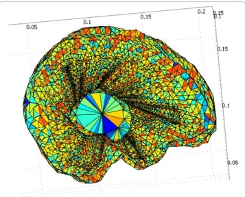 Figure 4 Patient-specific brain mesh consisting of 41,617 tetrahedral elements. After creating the 3Dmodels, automatic 4-noded tetrahedral meshes with Lagrange shape functions are generated for both ofthe parenchyma and the tumor using the COMSOL3.3 software.