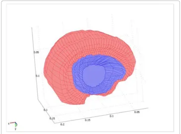 Figure 5 Boundary condition for the displacement parameter. In both models, the exposed surface isassumed free to move and the remaining surfaces are fixed