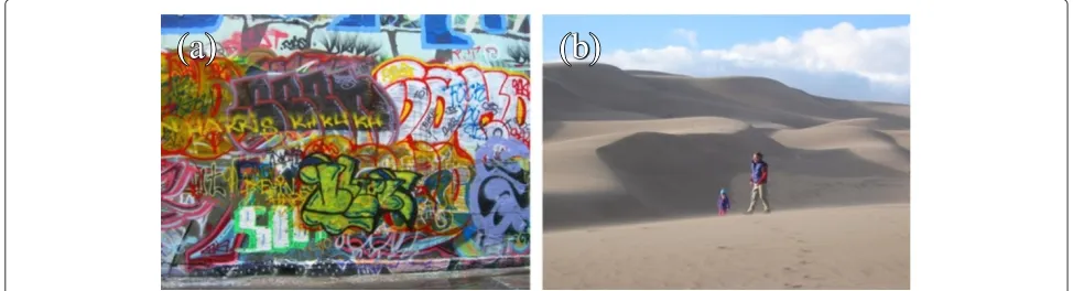 Figure 2 Two types of images. (a) A cluttered image. (b) A concise image. The two people in image (b) attract our attention.