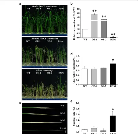 Fig. 3 Suppression ofTotal RNA was extracted from the fourth leaves.three independent experiments