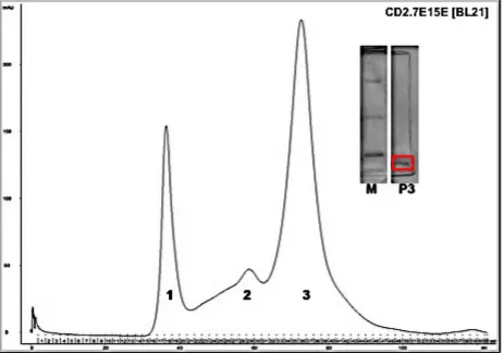 Figure 2.12 Size-exclusion chromatography used for isolation of impurities from the concentrated samples post refolding purification method
