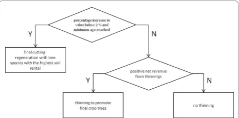Figure 6 Decision tree of management type “maximum profit”.
