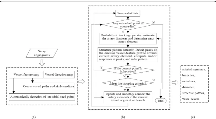 Figure 1 Overview of the proposed tracking framework for the segmentation of X-ray angiogramswith (a) Preprocessing step, (b) Tracking step, and (c) Results.