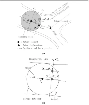 Figure 3 Show the probabilistic tracking and diameter measurement along vessel pathdescription of the probabilistic tracking