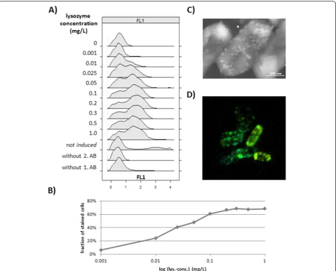 Figure 4 Production intensity assay-validationincubated with a second gold coupled detection antibody.evaluation distinguishing between producing and non-producing cells.intensity with second antibody (AB) Alexa Fluor 488.