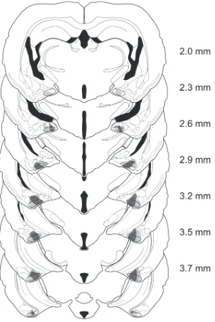 Figure 2.2 Lesion reconstruction. Reconstruction of the largest (light gray) and smallest (dark gray) lesions in PMCoX males