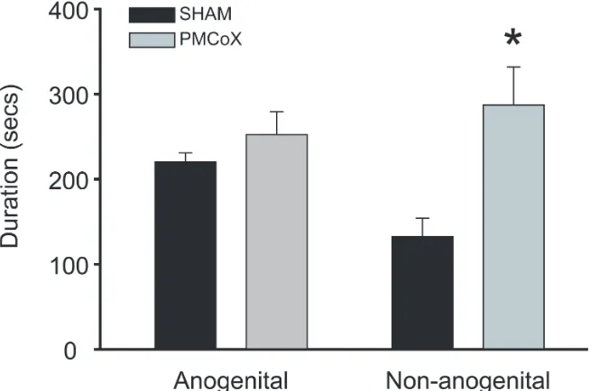 Figure 2.4 Investigation behaviors during male copulatory tests. Although groups did not differ in the duration of anogenital investigation, PMCoX males (n =  11) increased investigation of the female’s non-anogenital region compared to SHAM males (n =  7)