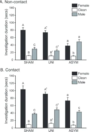 Figure 3.2 Summary of results from Odor Preference tests. Mean (±SEM) durations of odor investigation during Odor Preference tests when contact with odor sources was either prevented (A) or allowed (B) (SHAM n = 12; UNI n = 12; ASYM n = 15)