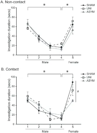 Figure 3.3 Summary of results from Odor Discrimination tests. Mean (± SEM) durations of investigation during the habituation-dishabituation tests when contact with the odor sources was either prevented (A) or allowed (B) (SHAM n = 7; UNI n = 6; ASYM n = 7)