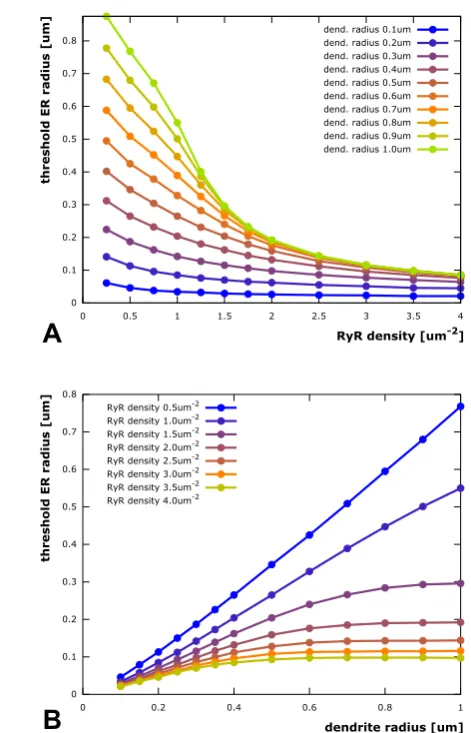 Fig. 4 Threshold ER radius for eliciting stable calcium waves. For any tested combination of RyR chan-dius (like A, but projected onto perpendicular plane)