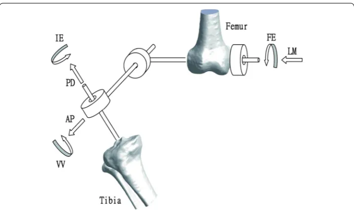 Fig. 4 Definition of the joint coordinate system (JCS) of the knee. The definition of the JCS was based on the bone‑embedded coordinate systems of the tibia and femur, adapted from Grood and Suntay [27]