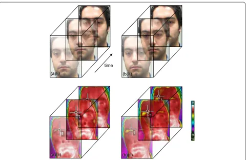 Figure 4 Examples of facial volumes extracted from the ANUStressDB database. The facial volumes are of an experiment participantwatching the different types of film clips