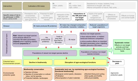 Figure 1 Conceptual model of interactions of the cultivation of Bt maize with non-target organisms including the potential pathwaysto harm (hazard, exposure, risk characterization), typical environmental concerns, and typical environmental protection goals