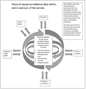 Figure 3. Flows of sexual surveillance data.