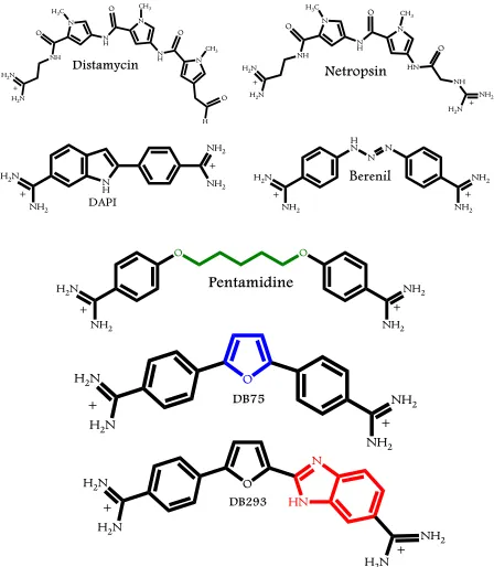 Figure 4.1: Chemical structures of representative Duplex-DNA minor groove binders. (A) Distamycin, (B) Netropsin, (C) DAPI, (D) Berenil, (E) Pentamidine, (F) DB75, and (G) DB293