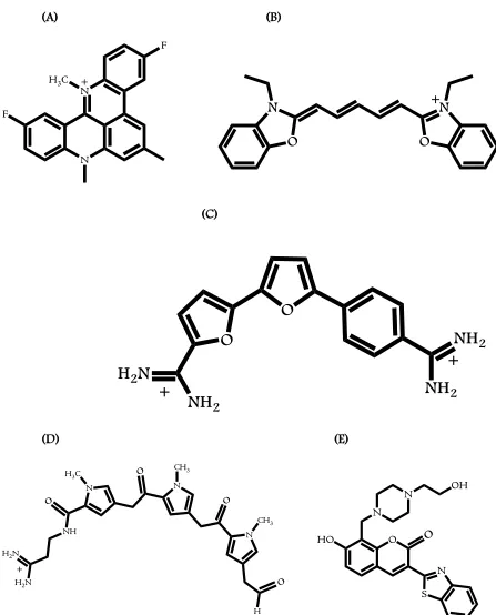 Figure 2.1: Chemical structures of RHPS4 (A), DODC (B), DB832 (C), Distamycin (D) and F1190 (E)