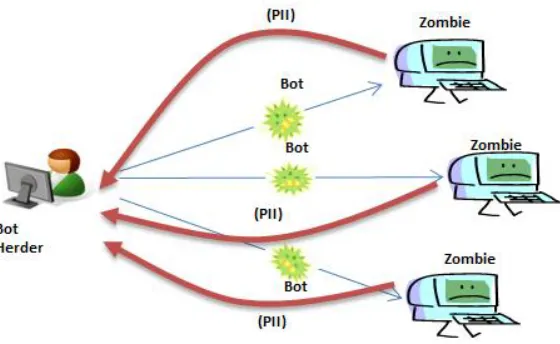Figure 2 – Botnet Returning Personally Identifiable Information (PII) 