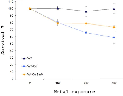 Figure 7: Viability of yeast upon copper and cadmium exposure. 