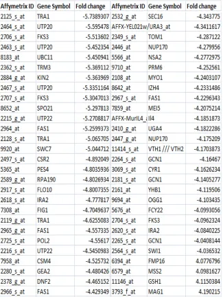 Figure 14: Highly differential expression of certain genes, upon 1hour exposure of wild type yeast, to cadmium