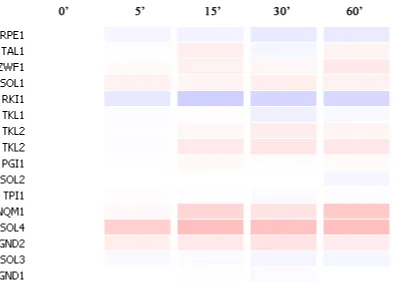 Figure 23: Fold change in expression of pentose phosphate pathway genes, upon exposure to copper